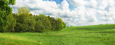 Buy stock photo Empty field, forest and trees with clouds in sky with growth, horizon and nature with spring in countryside. Plants, grass and environment with woods, location and park with landscape in Canada