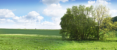 Buy stock photo Empty field, grass and trees with clouds in sky with growth, horizon or nature with spring in countryside. Plants, bush and environment with woods, location or summer at park with landscape in Canada