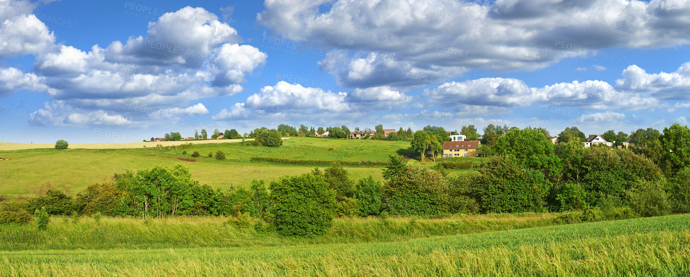 Buy stock photo Field, houses and trees in forest with clouds, horizon or grass in nature with spring in countryside. Plants, buildings and environment in woods, location or summer with sky with landscape in England