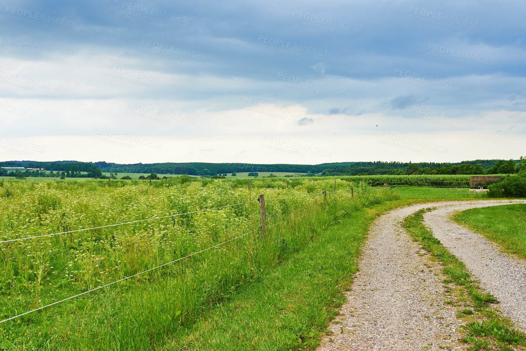 Buy stock photo Landscape, farm and nature with agriculture, blue sky and grass for sustainability, environment and field. Countryside, outdoor and spring for ecosystem, sunshine and trees with tourism in Denmark
