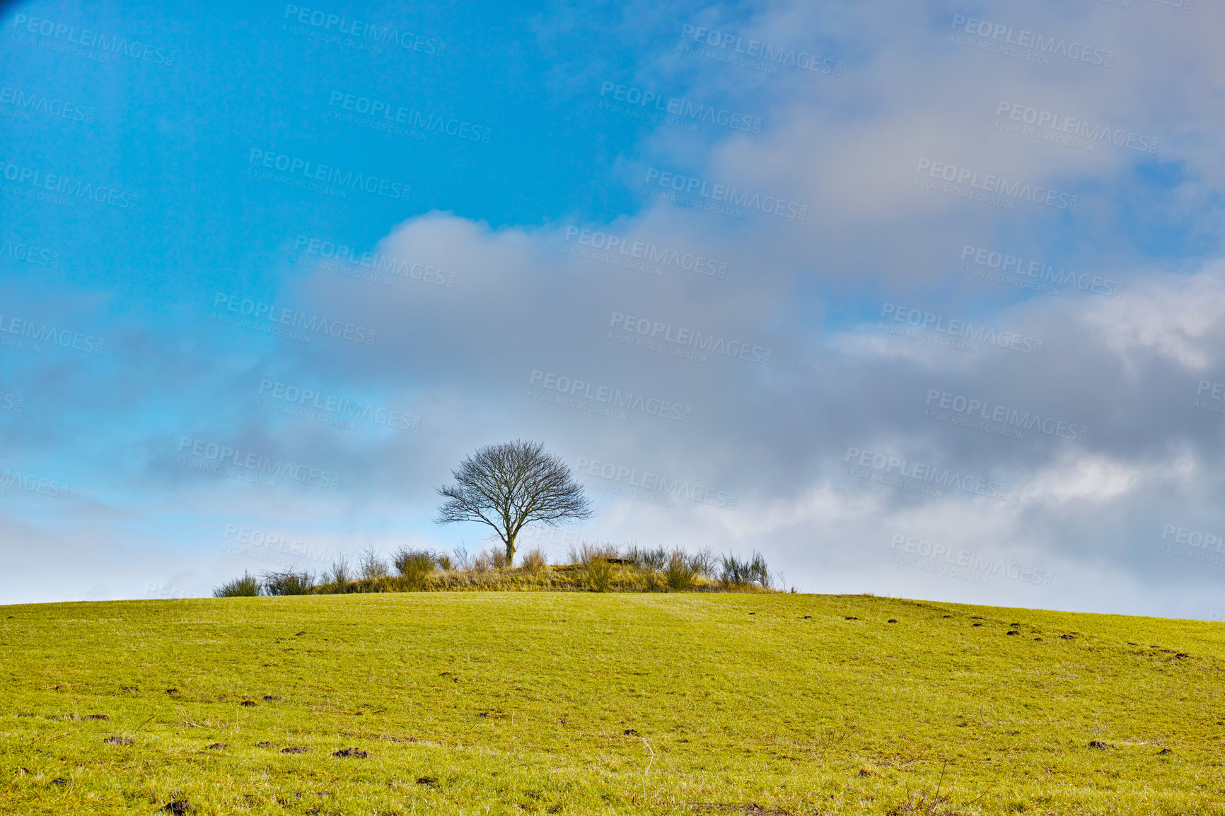 Buy stock photo Farm, nature and trees on hill, field and outdoor by clouds in sky for growth, horizon and food production. Grass, landscape or location in environment with plants for agriculture in Jutland, Denmark