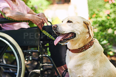Buy stock photo Shot of a senior woman in a wheelchair with her dog