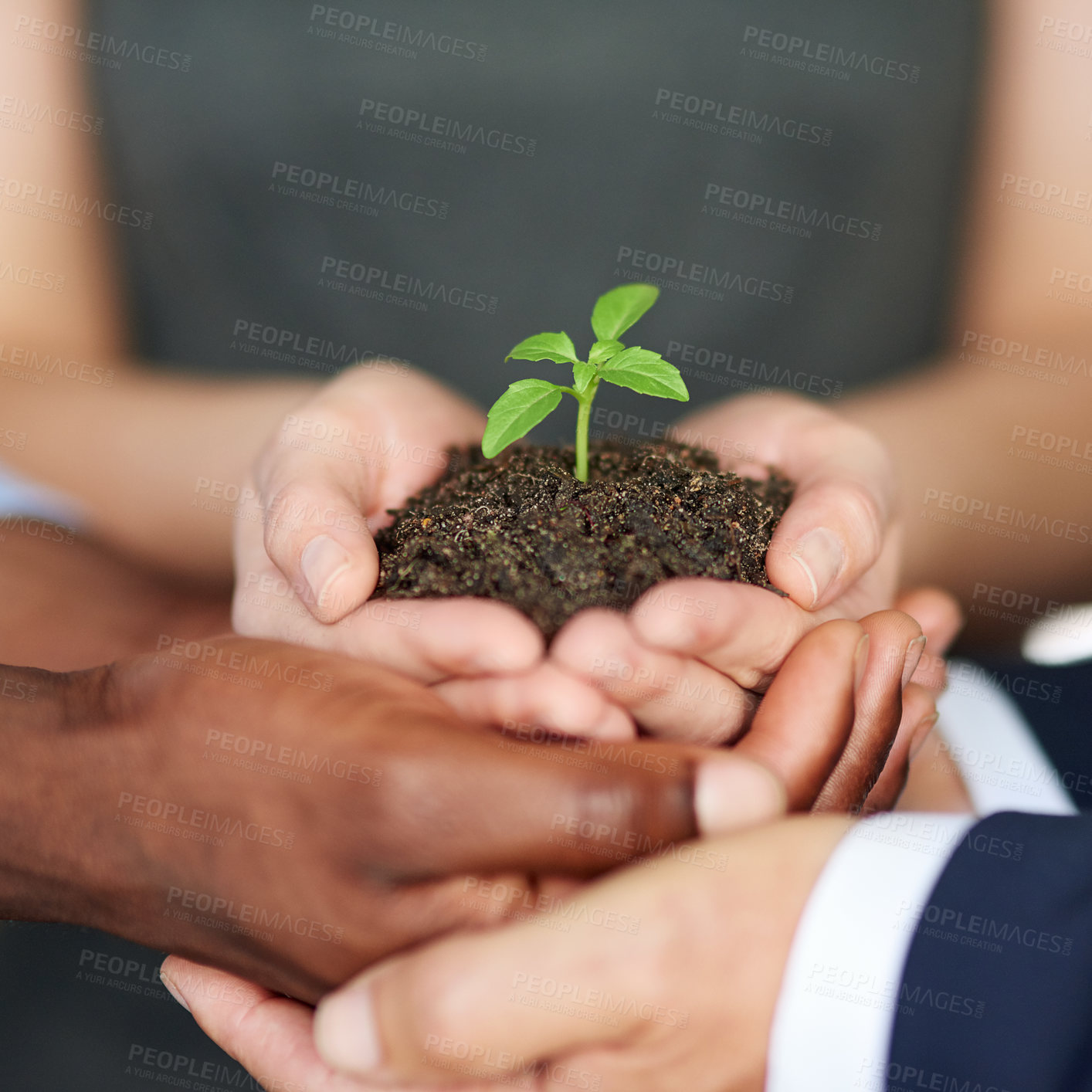 Buy stock photo High angle shot of a young plant being held by three businesspeople
