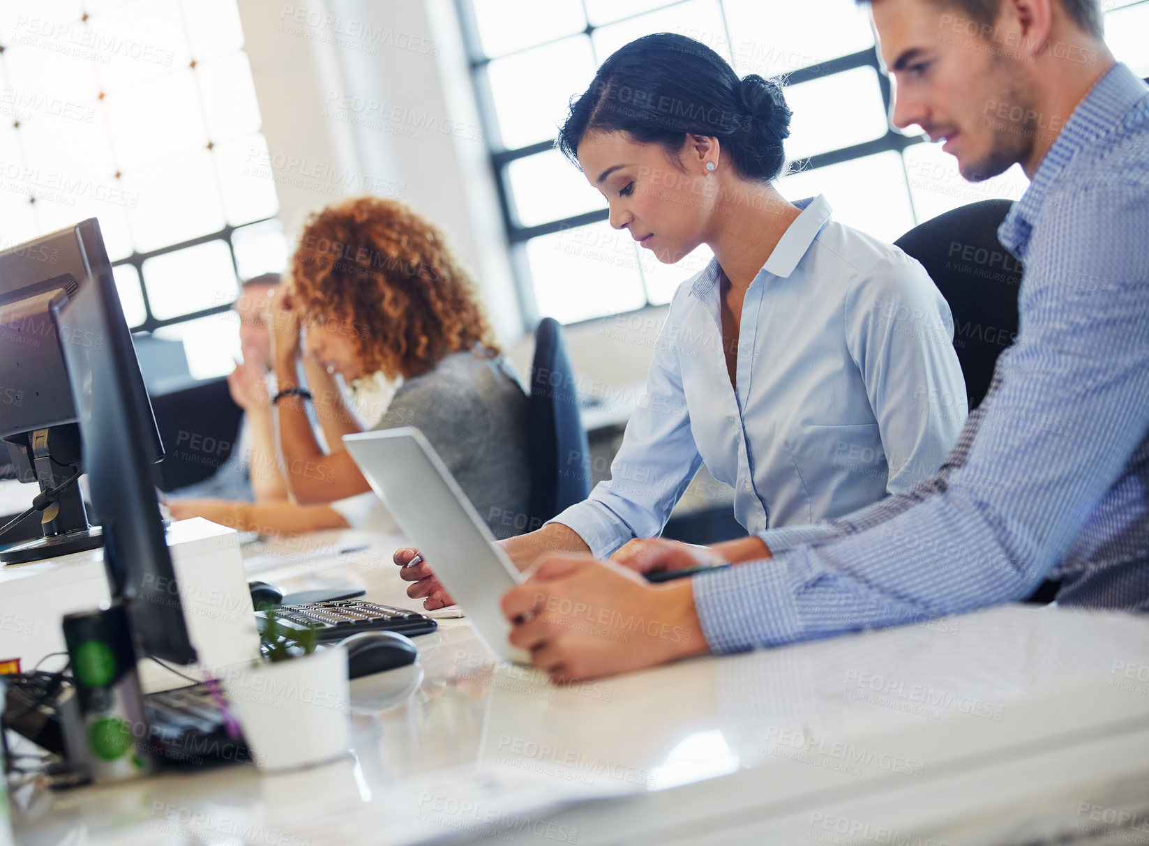 Buy stock photo Cropped shot of a group of businesspeople working in the office