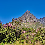 Lion's Head