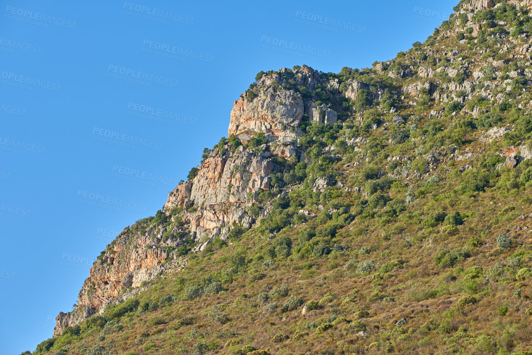 Buy stock photo Landscape view of mountains in Hout Bay in Cape Town, South Africa during summer holiday and vacation. Scenic hills, scenery of fresh green flora growing in remote area. Exploring nature and the wild