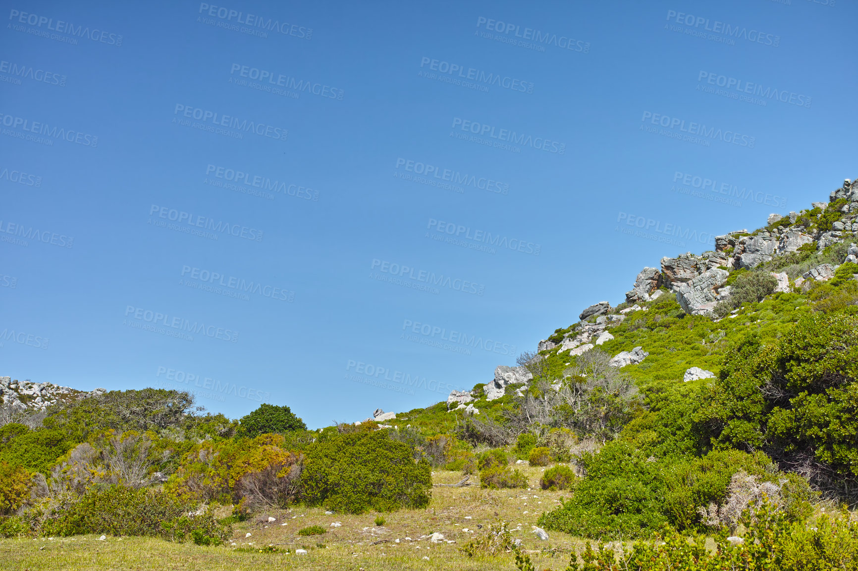 Buy stock photo Landscape view of nature in Cape Town, South Africa during summer holiday and vacation. Scenic hills and scenery of fresh green flora growing in remote area. Exploring nature and the wild