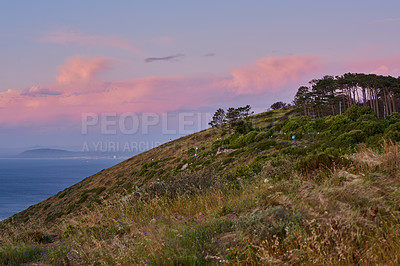 Buy stock photo View from Signal Hill at sunset. Panorama of Lions Head in Cape Town at dawn. Peaceful nature scene of grassy hill by the ocean against a blue sky in South Africa. Landscape of a lush mountainside