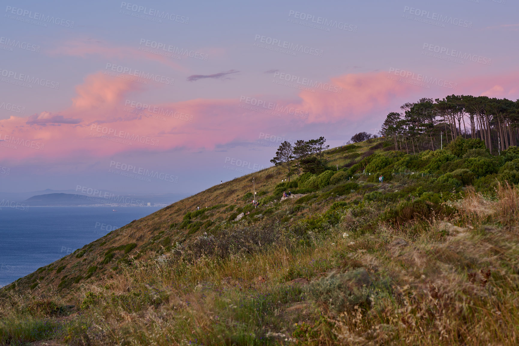 Buy stock photo View from Signal Hill at sunset. Panorama of Lions Head in Cape Town at dawn. Peaceful nature scene of grassy hill by the ocean against a blue sky in South Africa. Landscape of a lush mountainside