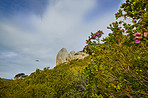 Hout Bay nature