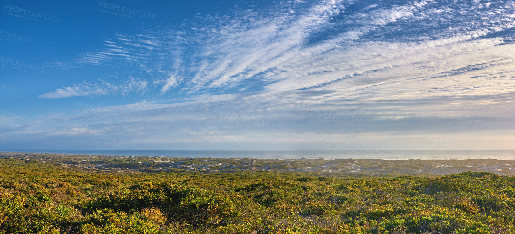 Buy stock photo Fynbos in Table Mountain National Park, Cape Town, South Africa. Beautiful scenic summer landscape of grassy meadows and hills with cloudy sky. Field with grass and plants. View of remote grassland