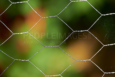 Buy stock photo Closeup of a mesh metal fence with blur garden in the background. Details of a steel iron gate around a park. Mesh metal fence surrounded by green tree leaves. Plain twisted wire pattern and texture