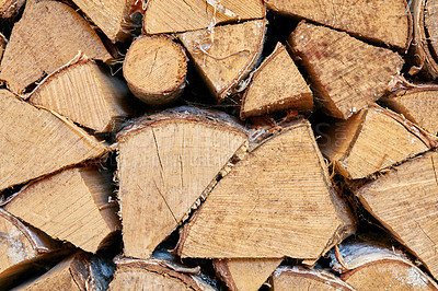 Buy stock photo Forest maintenance will encourage regeneration. Zoom in on freshly cut wood stacked in a neat pile. Large scale tree cutting can lead to deforestation and contribute to global warming Collecting wood