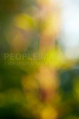 Buy stock photo A blurry concept of yellow flowers, wild sunflowers in a dreamy, art haze field on a sunny day in a park or garden. Defocus on style, shape and pattern of petals. Blur color wallpaper with copyspace 