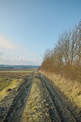 Buy stock photo Muddy dirt road in the countryside near a grass field in Denmark. Panorama landscape of a vanishing track through rural farmland in fall against a cloudy horizon. Peaceful and serene nature scene