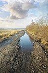 Dirt road in early spring