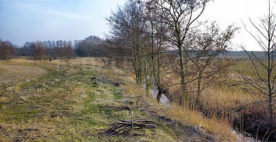 Buy stock photo Wet farmland in early spring in Jutland, Denmark, with blue sky background. Abandoned wild trees growing near a swamp riverbank on a field. Scenic marshland and rural landscape in nature