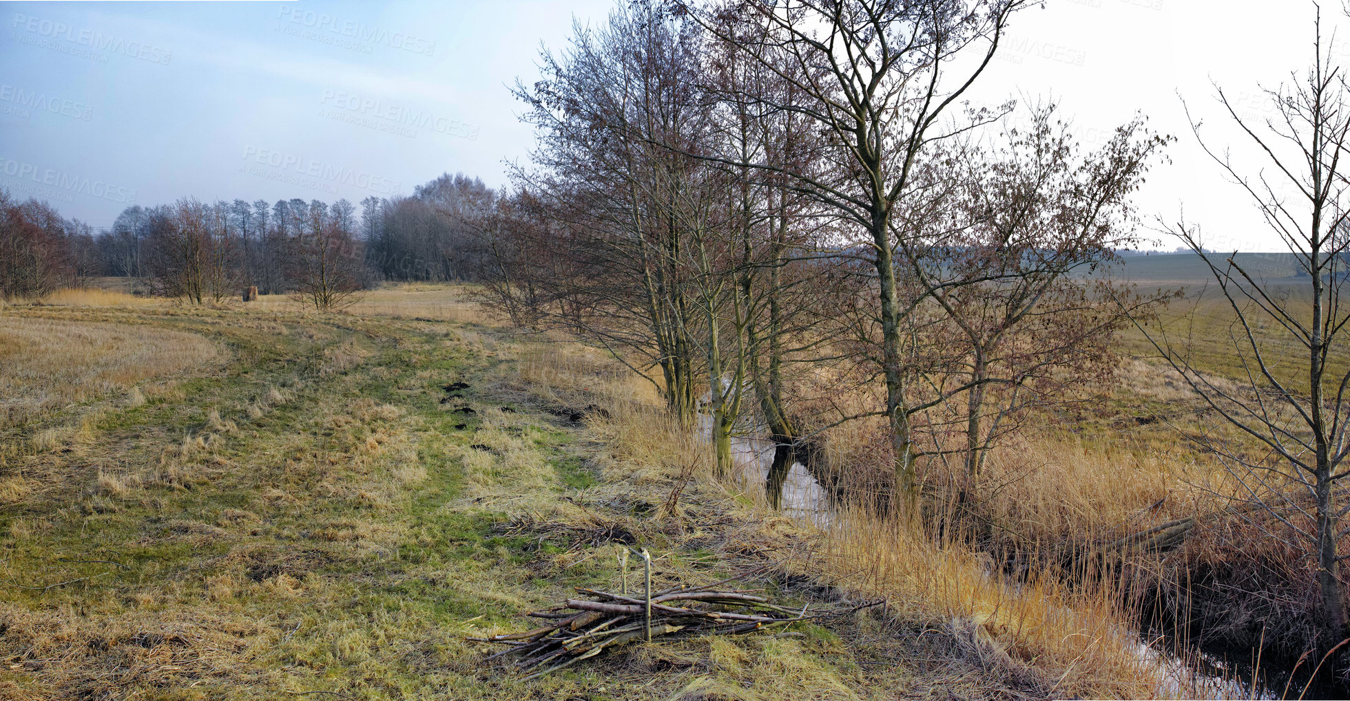 Buy stock photo Wet farmland in early spring in Jutland, Denmark, with blue sky background. Abandoned wild trees growing near a swamp riverbank on a field. Scenic marshland and rural landscape in nature