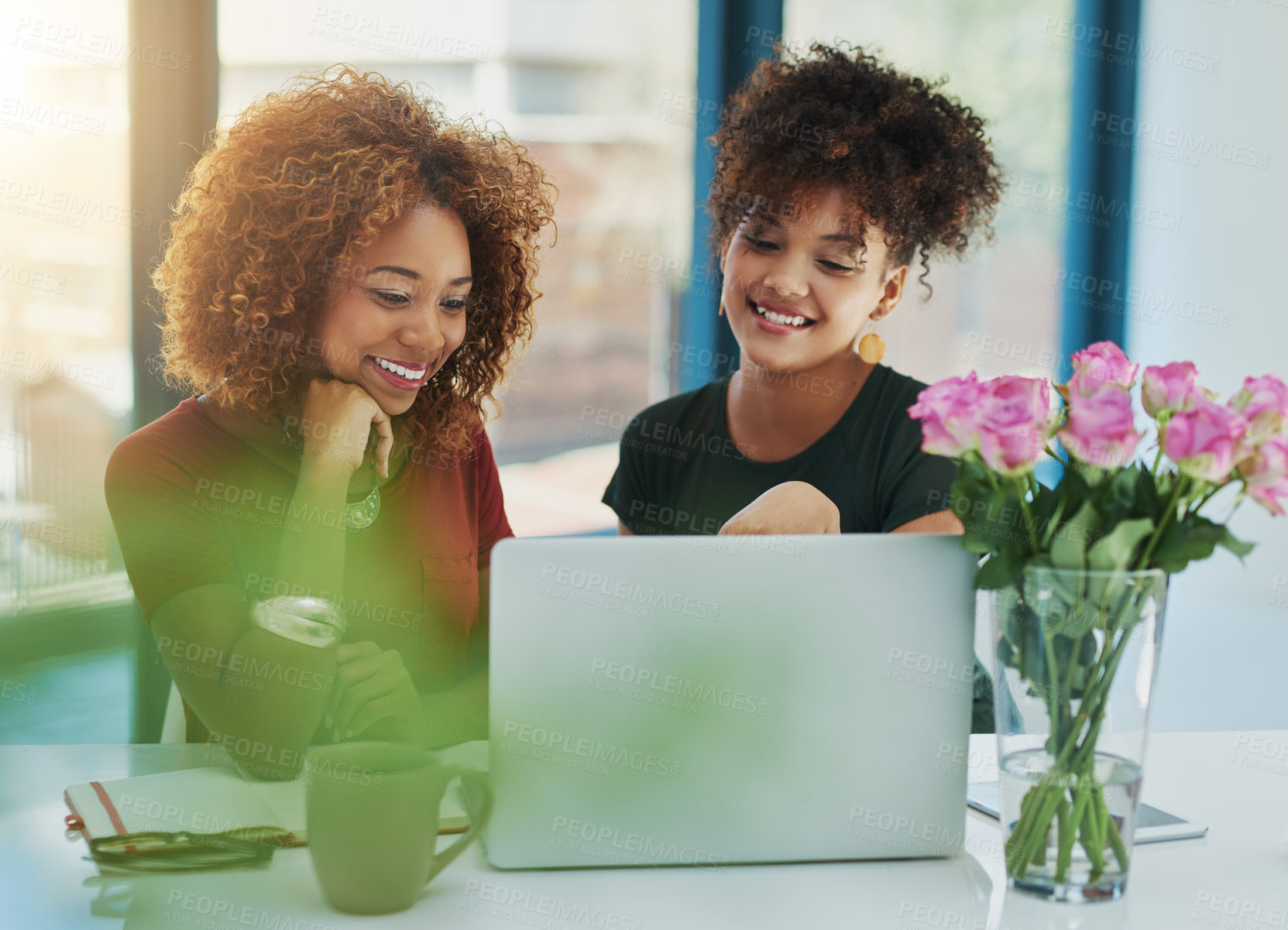 Buy stock photo Shot of two young designers working on a laptop together