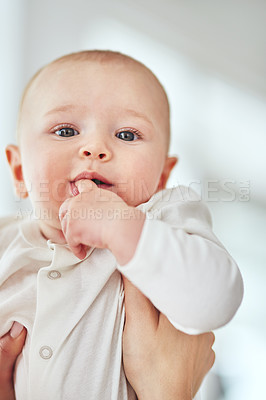 Buy stock photo Cropped shot of a baby boy being held by his parent at home