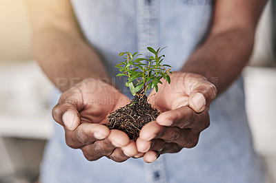 Buy stock photo Cropped shot of a man holding a plant growing out of soil