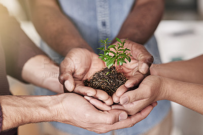 Buy stock photo Cropped shot of a group of people holding a plant growing out of soil