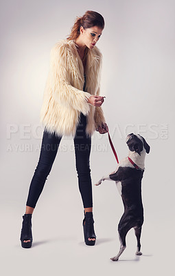 Buy stock photo Woman, playing and dog in studio with food for learning, training and snack for canine companion. Girl or pet owner, animal and white background with stylish, trending fashion and friendship.