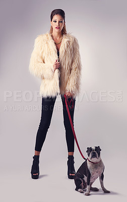 Buy stock photo Woman, portrait and dog in studio with fashion for company, love and accessory with canine companion. Girl or pet owner, animal and white background with stylish, trending outfit and friendship.