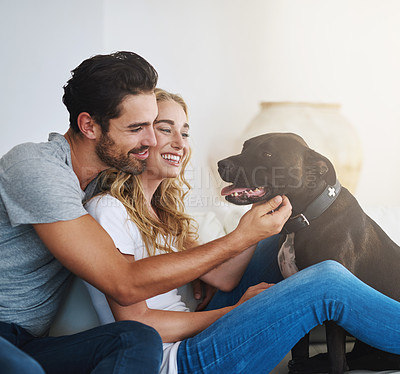 Buy stock photo Shot of a young couple relaxing at home with their dog