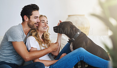 Buy stock photo Smile, relax or happy couple with a pet on house sofa bonding or hugging with trust or loyalty together. Dog, animal  lovers or woman enjoys playing with cute pitbull puppy with care on couch 