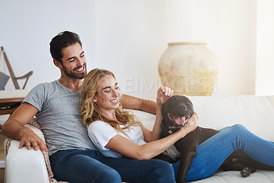 Buy stock photo Shot of a young couple relaxing at home with their dog