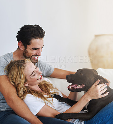 Buy stock photo Love, relax or happy couple with a dog on house sofa bonding or laughing with trust or loyalty together. Pet, animal  lovers or woman enjoys playing with cute pitbull puppy with care on couch at home