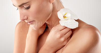 Buy stock photo Closeup studio shot of a beautiful young woman holding an orchid