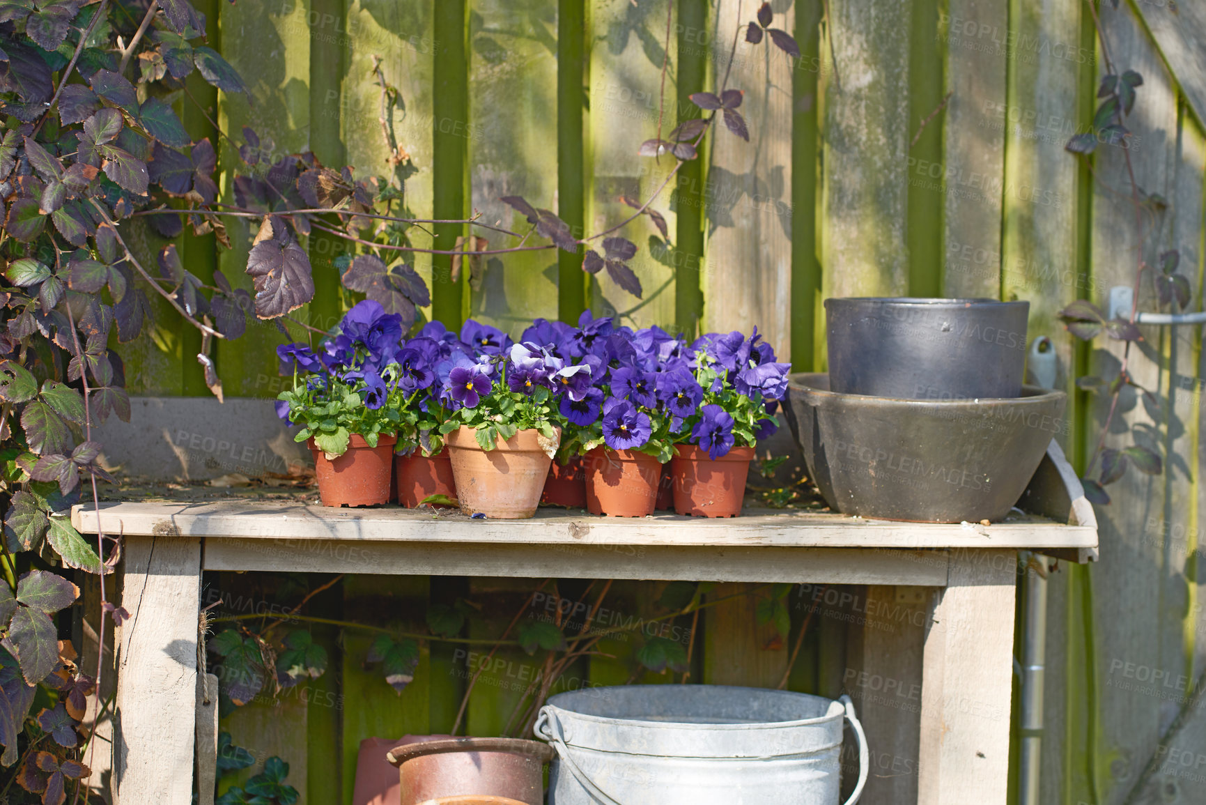 Buy stock photo The private spot of the Gardener - the beauty of garderning 