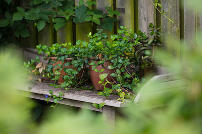 Buy stock photo The private spot of the Gardener - the beauty of garderning 