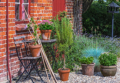 Buy stock photo Shot of garden flowers growing outside 