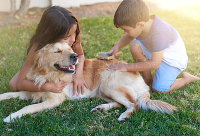 Buy stock photo Shot of a little boy and his sister brushing their dog’s coat in the backyard at home