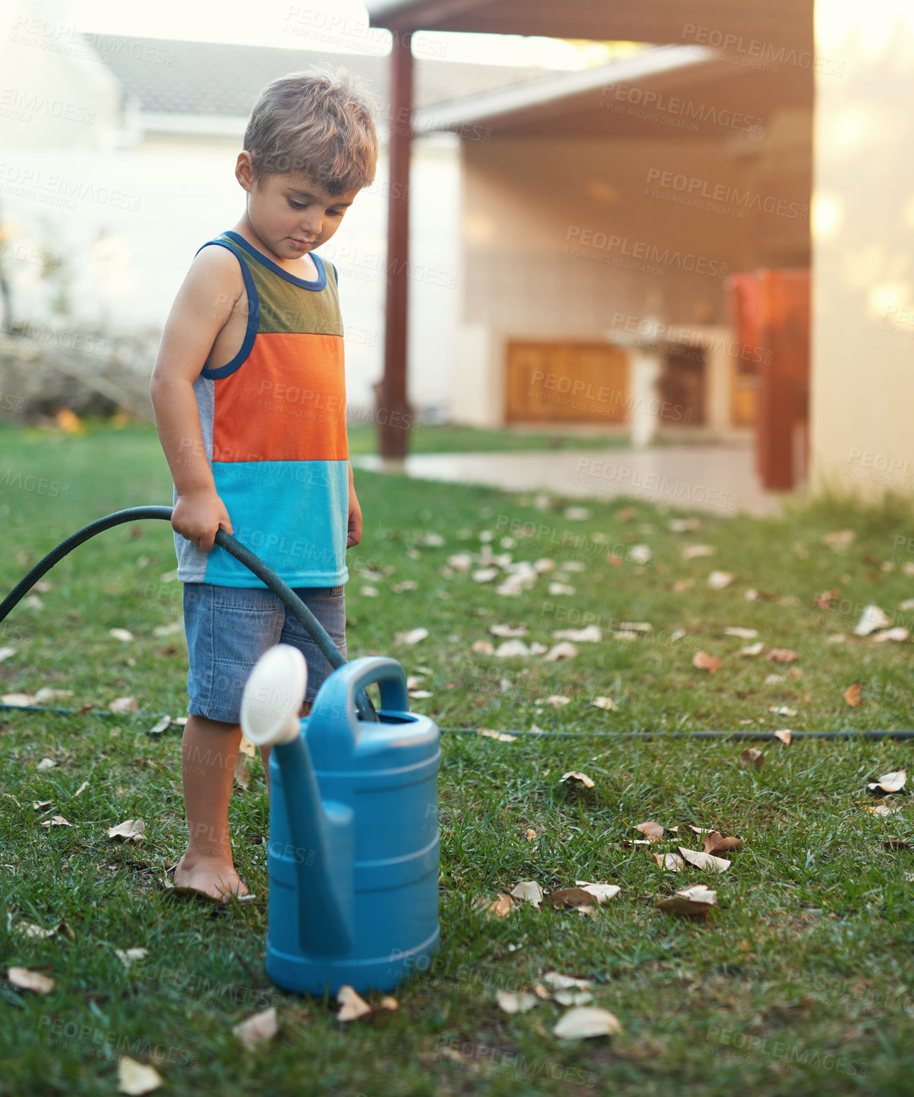 Buy stock photo Shot of a young boy filling a watering can with a hosepipe