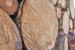 Wooden logs