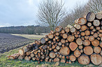 Wooden logs
