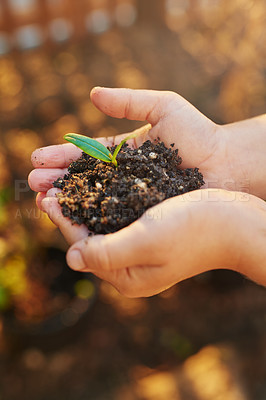 Buy stock photo Hands, soil and sprout or plant for garden, growth and seedling for hope in environment. Person, palms and fertilizer for ecology or ecosystem on earth day, nature and volunteer care for sapling