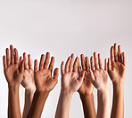 Raise your hands if you support diversity
