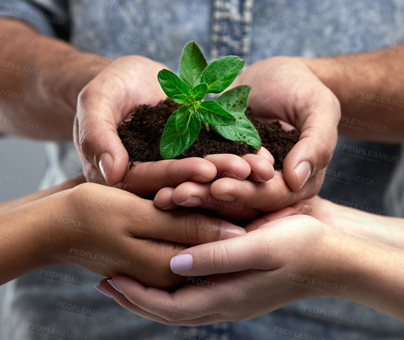 Buy stock photo Cropped shot of a group of people holding a plant growing out of soil