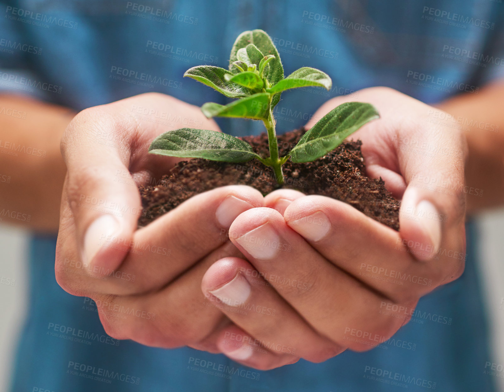 Buy stock photo Shot of hands holding a pile of soil with a plant in