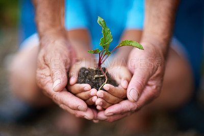 Buy stock photo Hands, kid and senior person with plant in soil for earth day, climate change or environment care. Hand, child and grandparent with leaf in nature for sustainability, learning and eco friendly growth