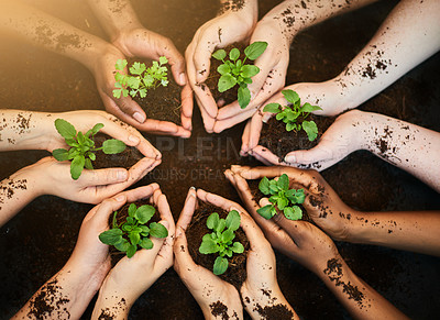 Buy stock photo Shot of a group of people each holding a plant growing in soil