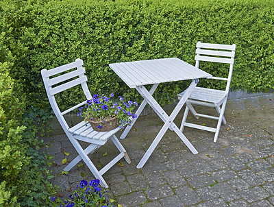 Buy stock photo Two courtyard chairs and table in a secluded and private garden at home. Wooden patio furniture and seating area for coffee and reading in a backyard. Purple meadow cranesbill flowers and a hedge