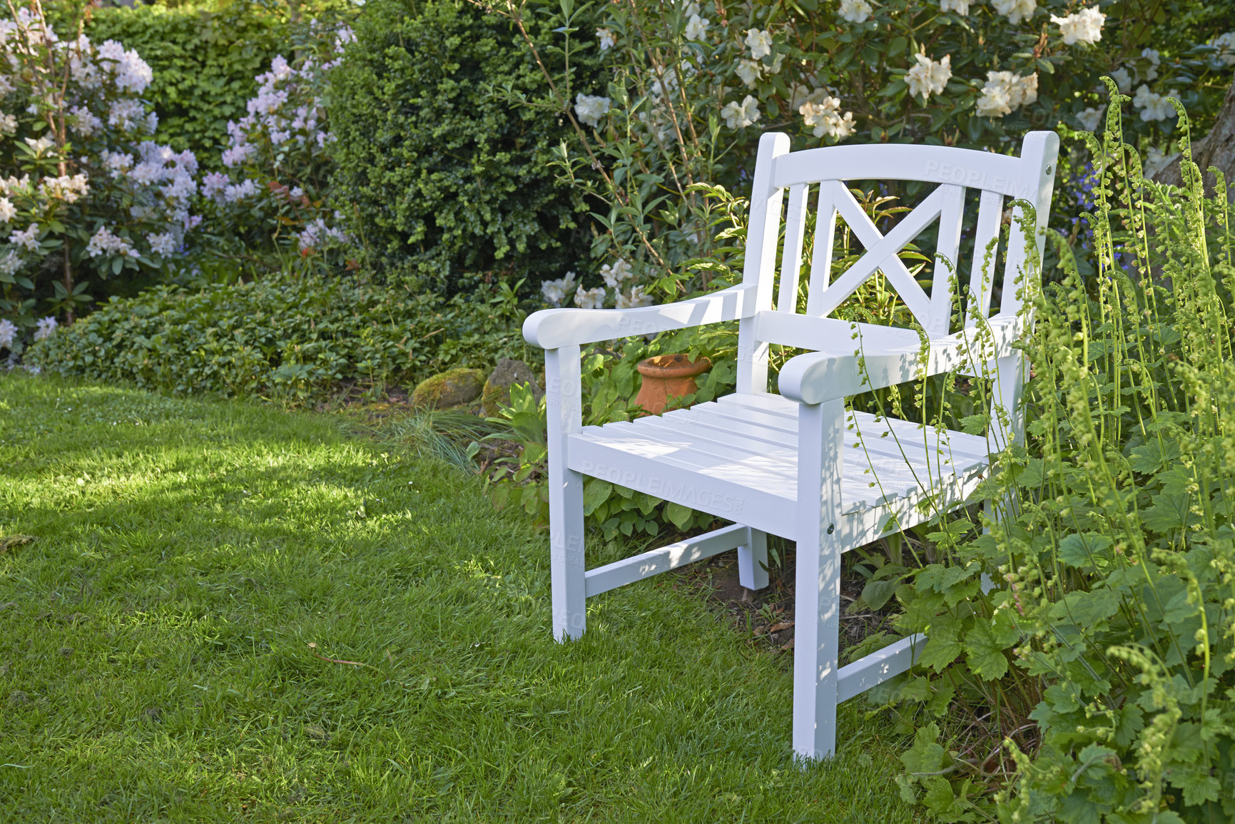 Buy stock photo Relax on a white wooden chair in a serene, peaceful, lush, green private backyard at home on a summer's day. Furniture and seating in an empty and tranquil outside garden with fresh flowers, plants. 