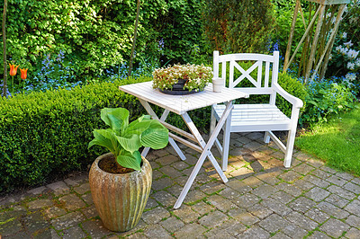 Buy stock photo Patio chair and square table with lots of plants in a garden. Outdoor furniture for relaxing in summer while flower gardening. Potted plants in a small paved courtyard with green grass and trees