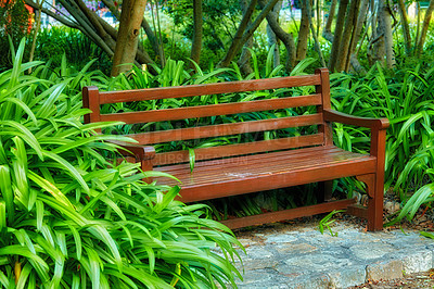 Buy stock photo Wooden bench in a garden or park. Beautiful and serene environment to enjoy a peaceful and calm break on a sunny day with plants blooming in nature. Outdoor seating furniture in a relaxing setting